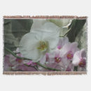 Suche nach orchideen decken Natur