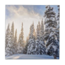 Suche nach ski fliesen Schnee