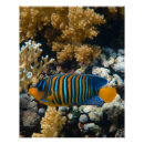 Suche nach fisch poster Meerestiere