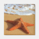 Suche nach seestern magnete Küste