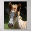 Suche nach tierkopf poster Teil des tierkörpers