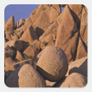 Suche nach joshua aufkleber Joshua tree nationalpark