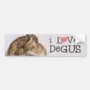 Suche nach degu Niedlich