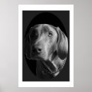 Suche nach kreationen poster Tiere