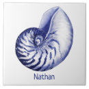 Suche nach nautilus fliesen Nautisch