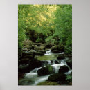 Suche nach speziell poster Baum