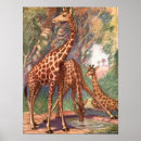 Suche nach vintage giraffen poster Savanne