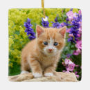 Suche nach ingwer ornamente Lustig