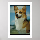Suche nach welsh corgi poster Korgi