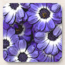 Suche nach seeanemone Blumen