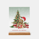 Suche nach santa bear poster Teddybär