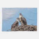 Suche nach raubvogel geschirr tücher Natur
