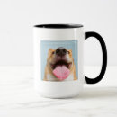 Suche nach corgi tassen Tiere