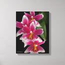 Suche nach hybrider kunst Einzigartige blumen