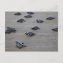 Suche nach zentralamerika postkarten El salvador