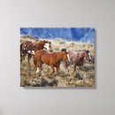 Suche nach hörner leinwandbilder Ranch