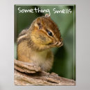Suche nach stinken poster Natur