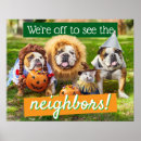 Suche nach hunde und katzen poster Lustig