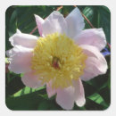 Suche nach zinn aufkleber Rosa