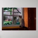 Suche nach katze fenster poster Tiere