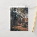 Suche nach kiefernwald postkarten Pfad