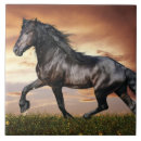 Suche nach schwarzes pferd fliesen Tier
