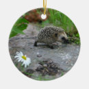 Suche nach igel weihnachtsschmuck Tiere