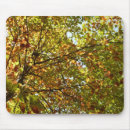 Suche nach ahornbaum mousepads Herbst