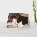 Suche nach schwarzweiss katze karten Niedlich
