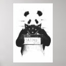 Suche nach panda poster Tier