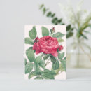 Suche nach weißes blatt postkarten Aquarell