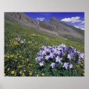 Suche nach klarer see poster Farbenfroh