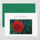 Suche nach dahlie blumen Rot