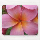Suche nach frangipani mousepads Für sie