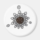 Suche nach bio magnete Chemie