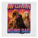 Suche nach afghanischer poster Welpe