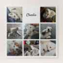 Suche nach niedlicher hund puzzle Foto