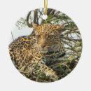 Suche nach wildkatzen ornamente Jaguar