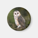 Suche nach barn magnete Wald
