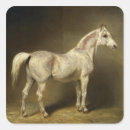 Suche nach sattel aufkleber Stabil