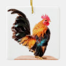 Suche nach lustiger vogel ornamente Huhn