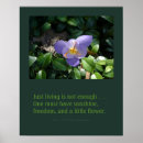 Suche nach krokus poster Mit blumen