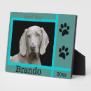 Suche nach hunde fotoplatten Modern