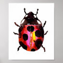 Suche nach ladybug kunst poster Ladyvogel