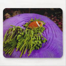 Suche nach die hände mousepads Tier