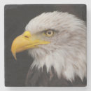 Suche nach adler untersetzer Power