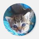 Suche nach tabby magnete Baby