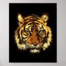 Suche nach tigerkopf poster Großkatzen