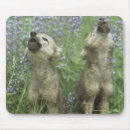 Suche nach heulen mousepads Tierwelt