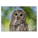 Suche nach owl schneidebrettchen Tiere